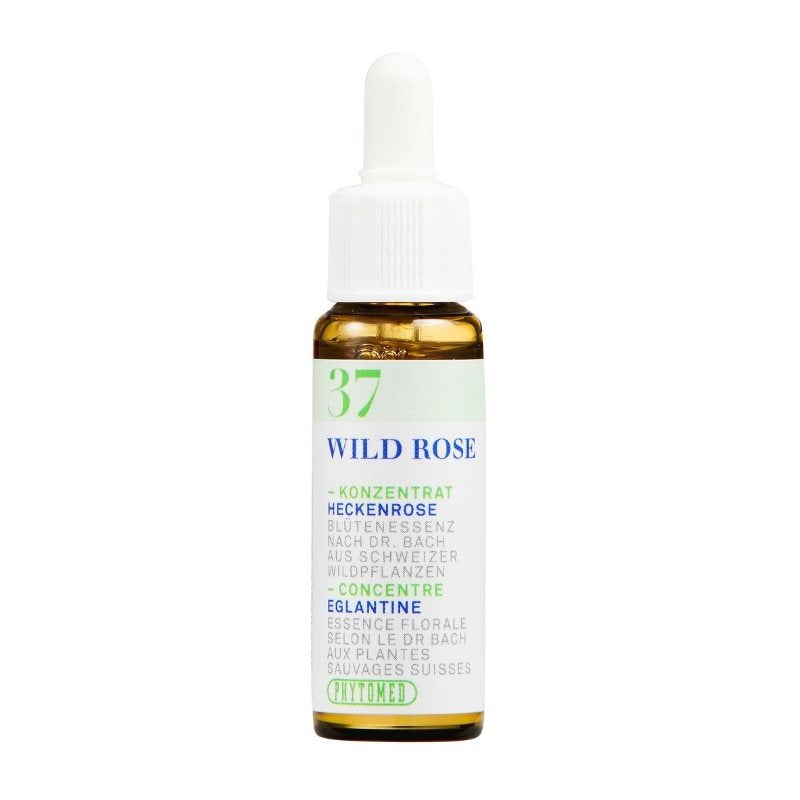#Grösse_Flasche 10 ml